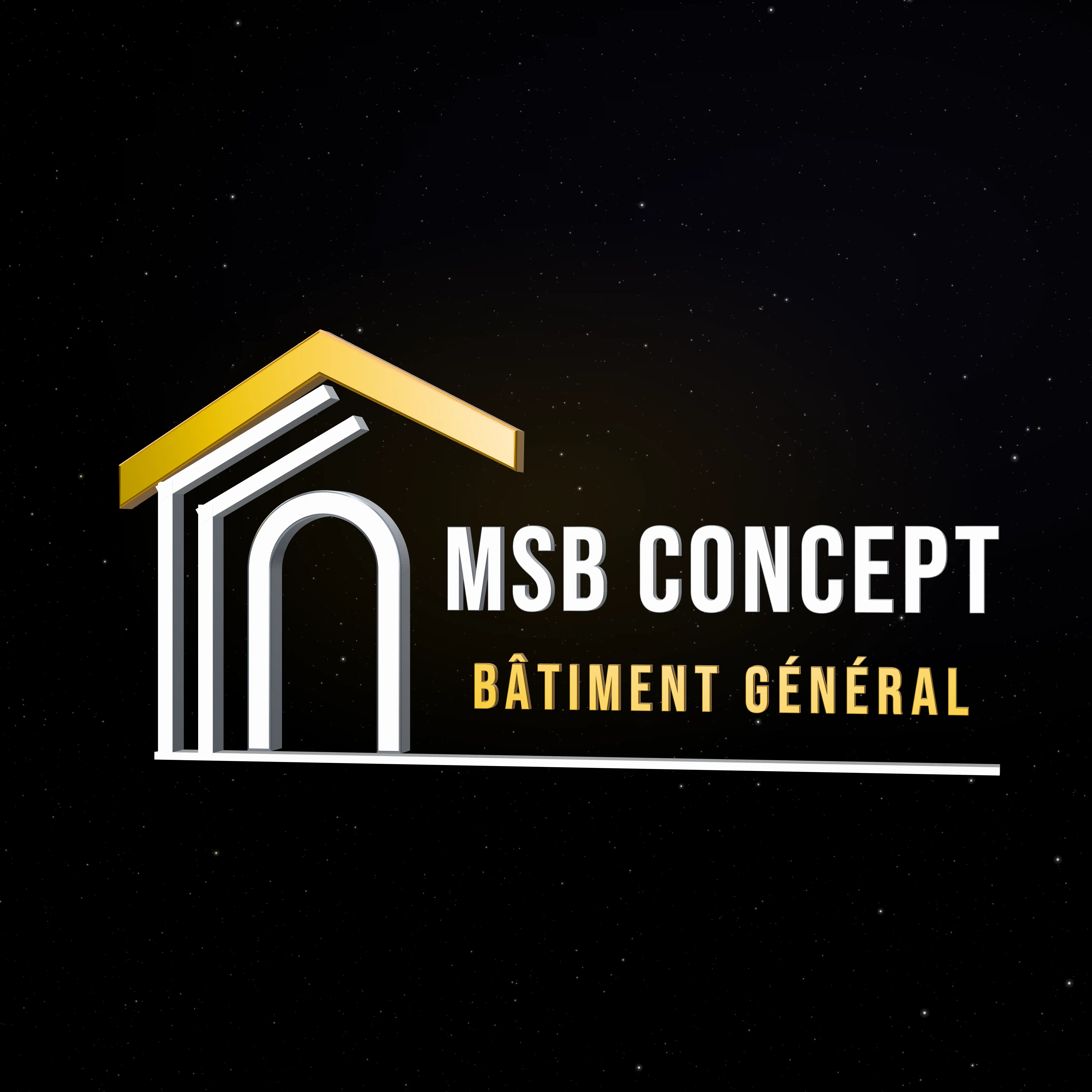 Logo MSB CONCEPT PRO