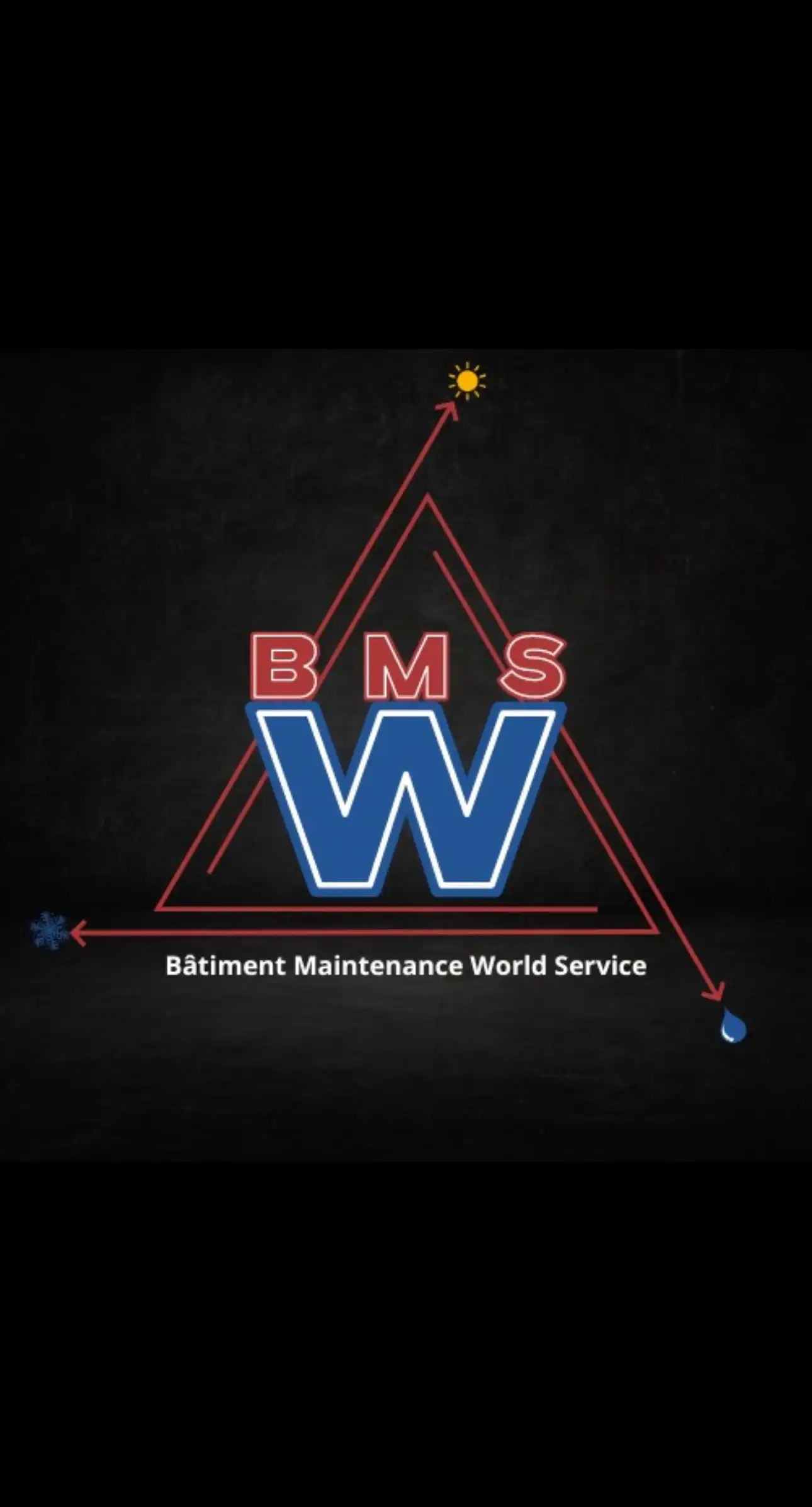 Logo BM World Services