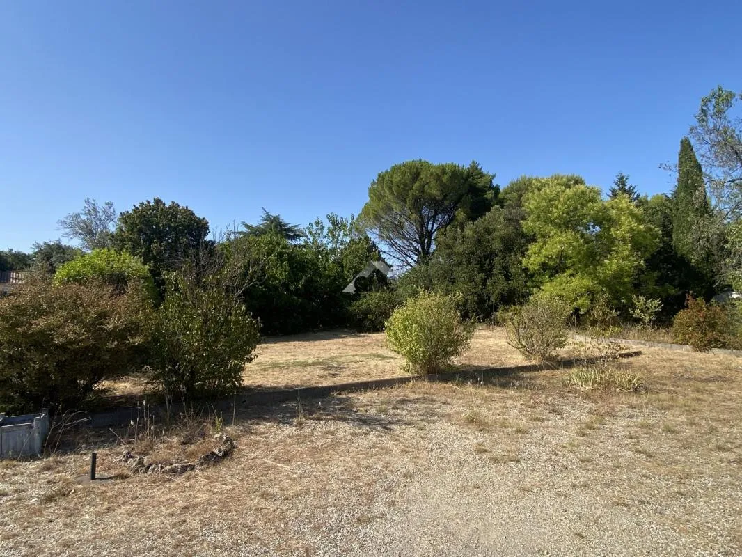Terrain