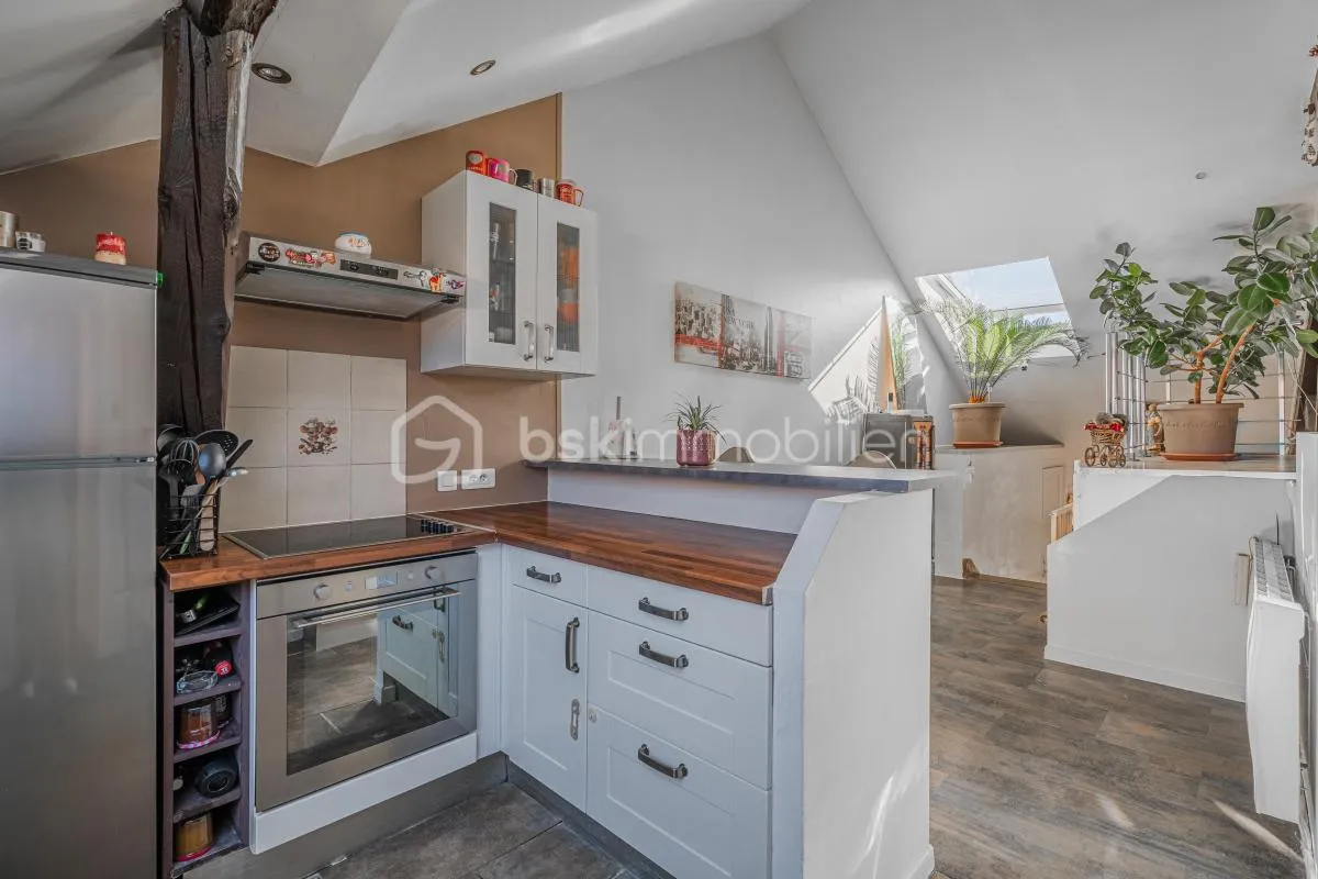 T3 atypique de 78 m² au sol au cœur de Rumilly