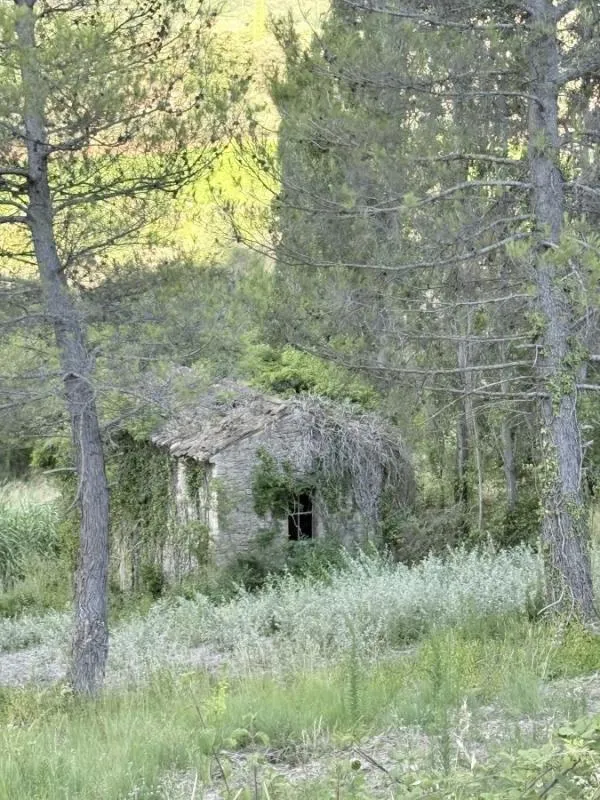 Terrain