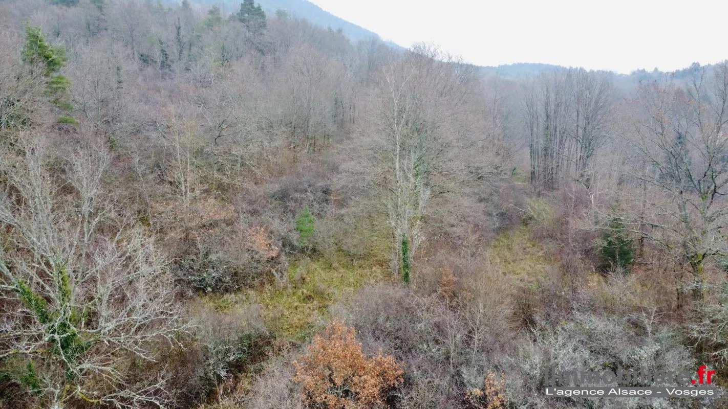 Terrains en situation dominante plein SUD avec vue sur St Dié