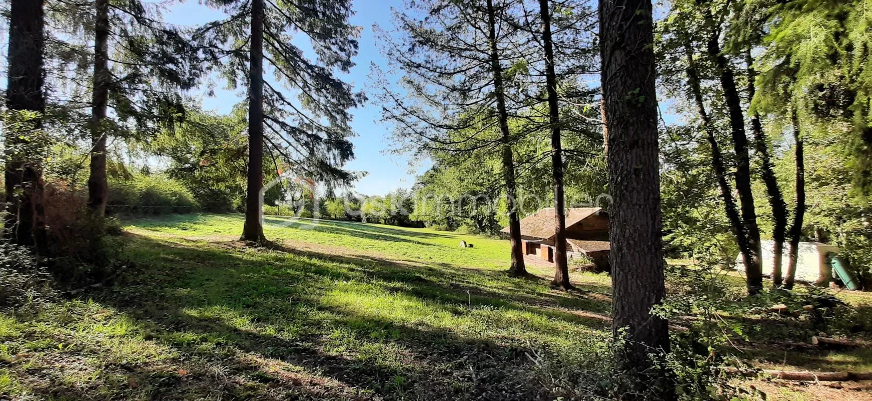 Terrain 39169 m²