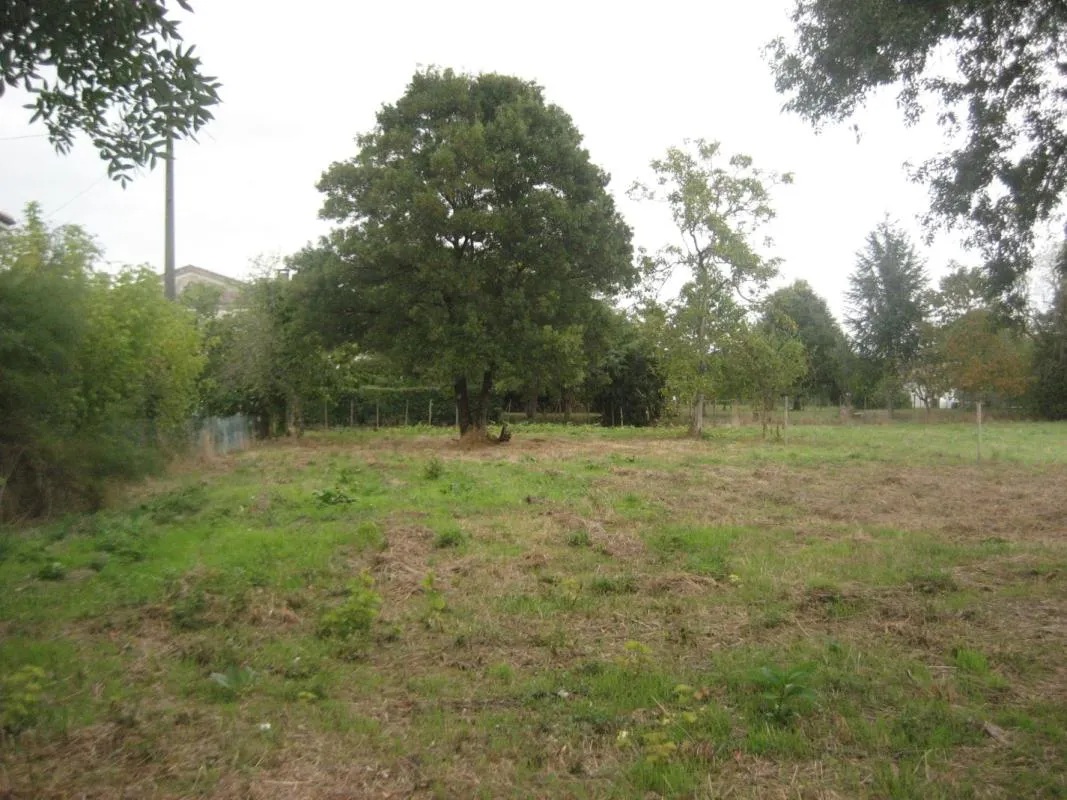 Terrain
