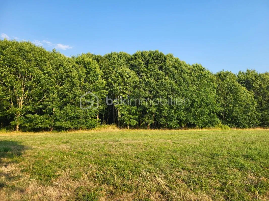 Joli terrain boisé