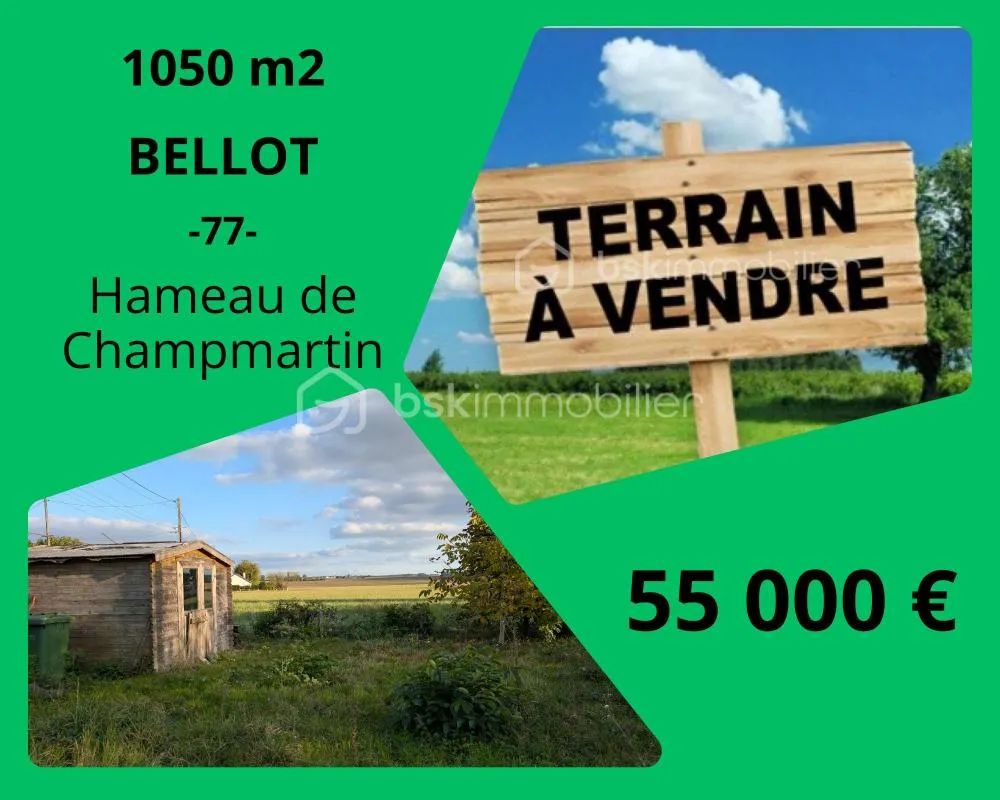 Image du carrousel 1