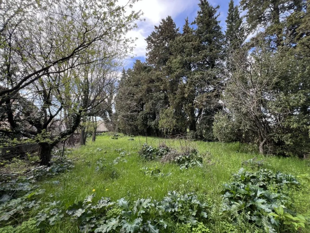 Image du carrousel 1