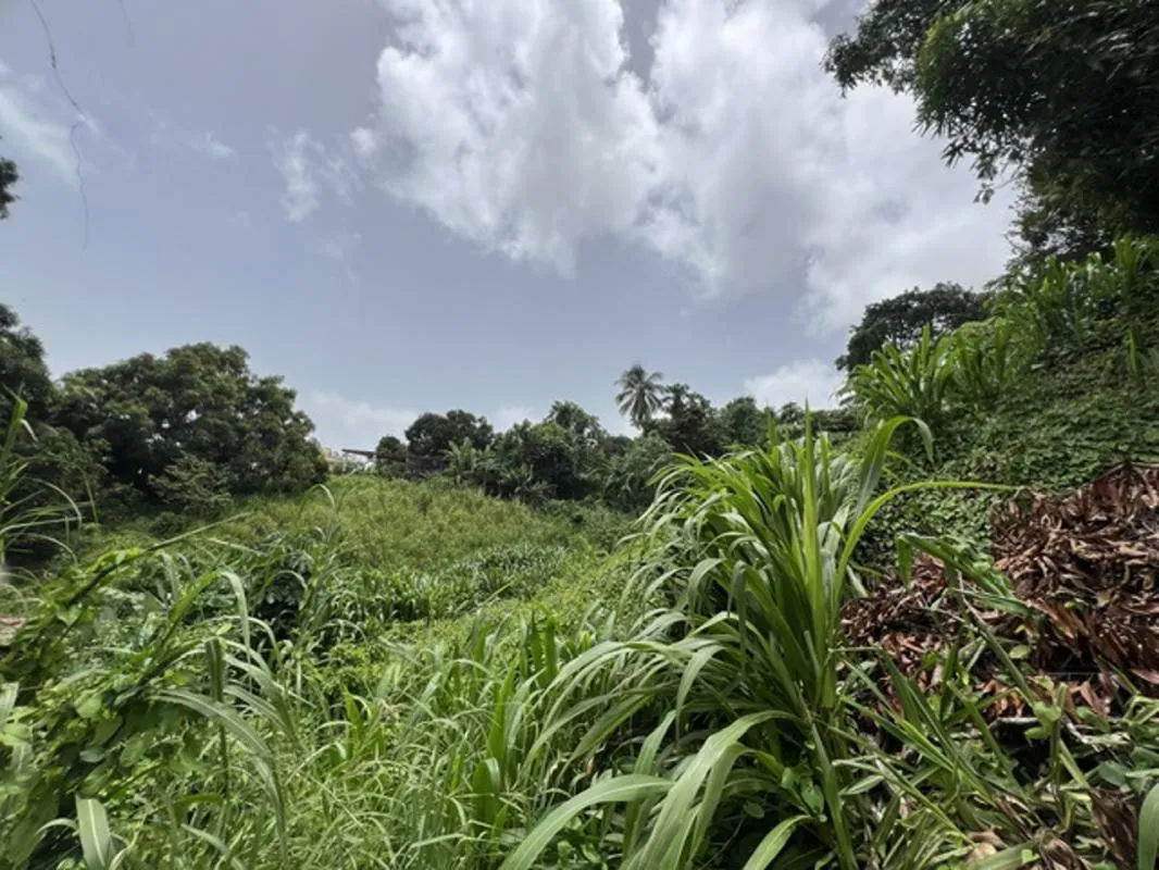 Image du carrousel 1