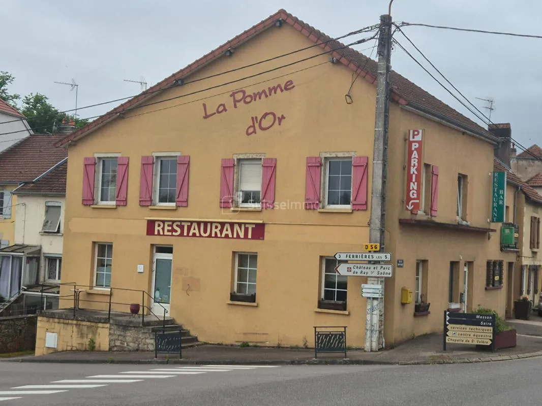 Grande Maison bord de Saône 10 pièce(s) 550 m2 avec terrasse et Parking