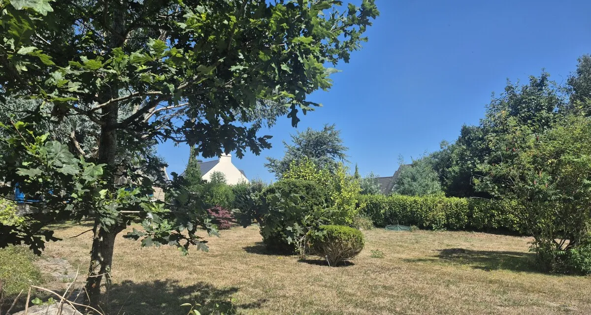 Image du carrousel 1
