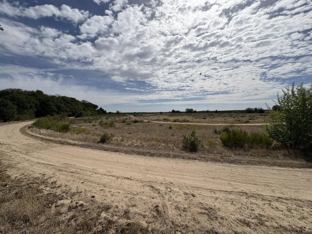Terrain agricole