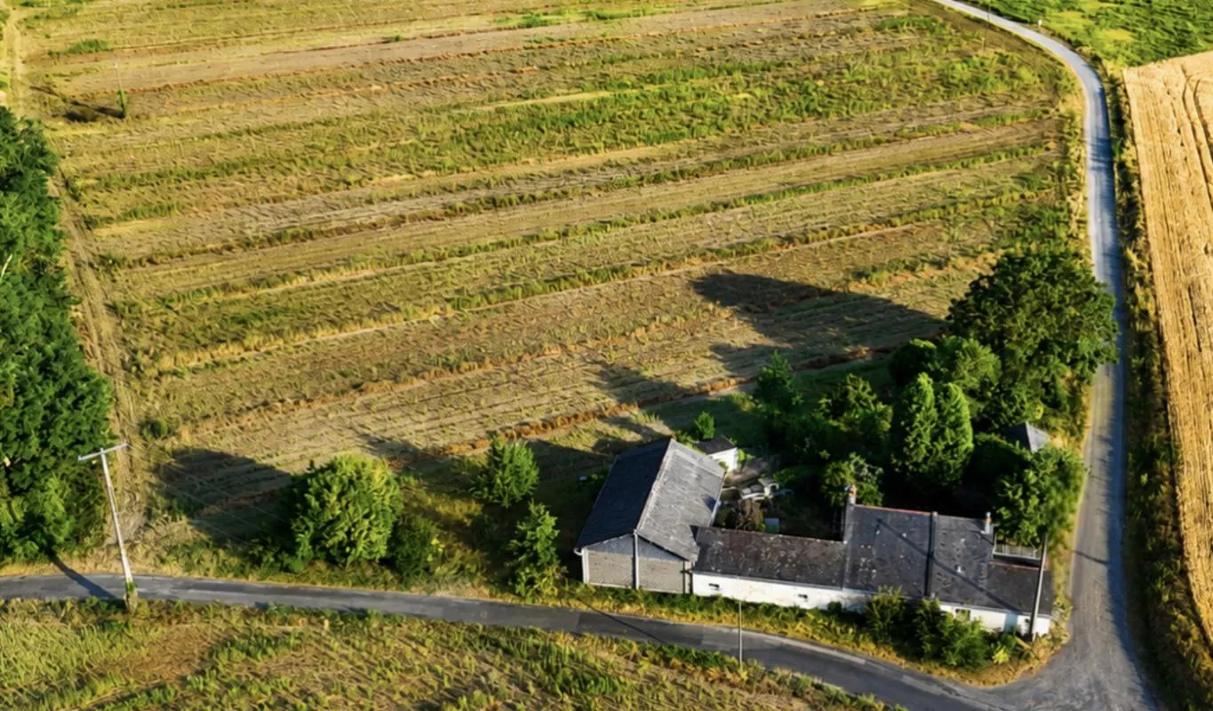Longère