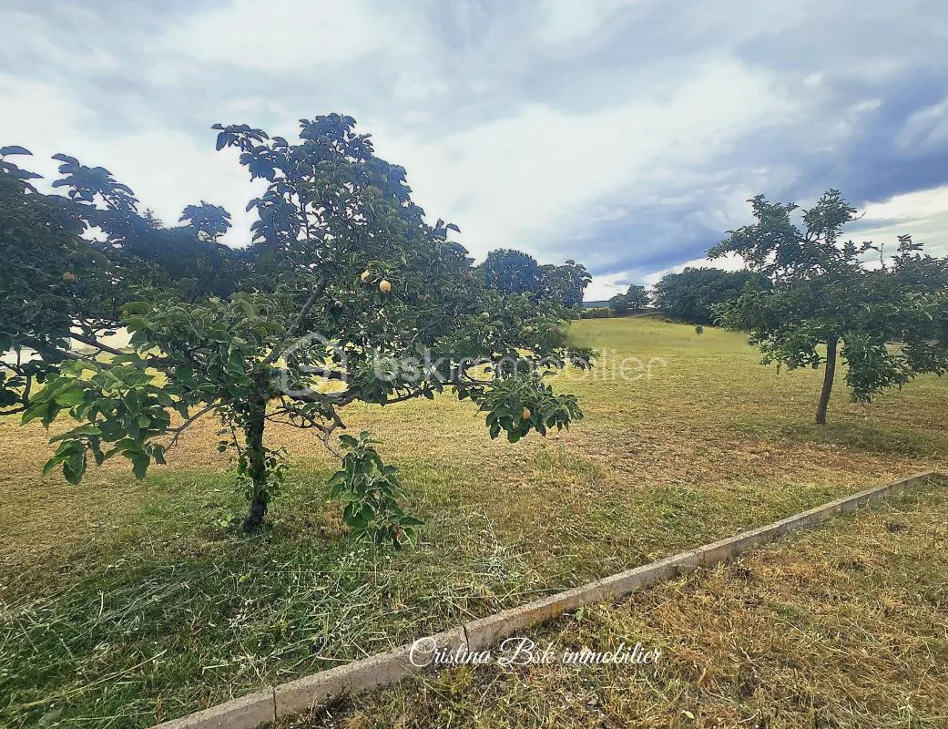 Terrain plat constructible 1 000 m² divisible – 5 mn Sud Digne-les-Bains
