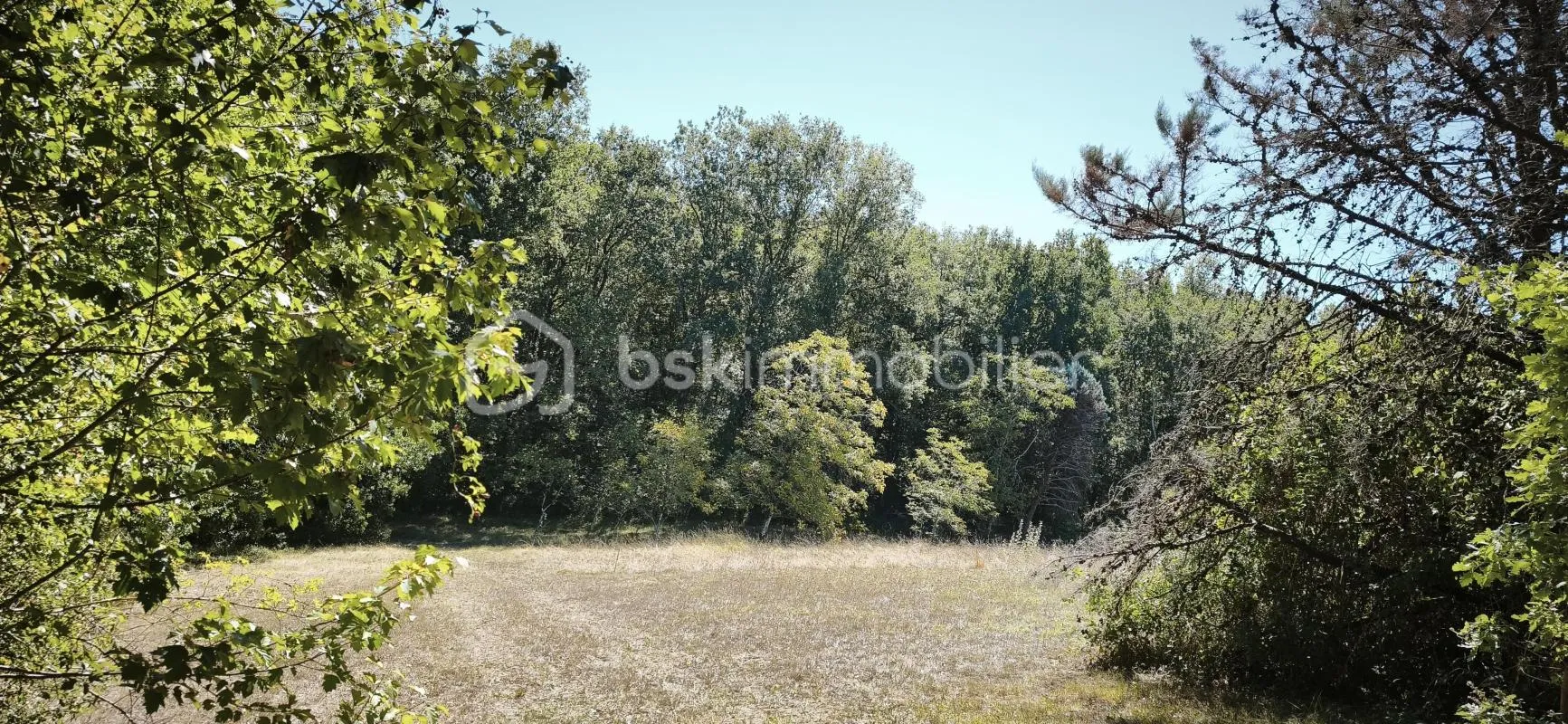 VENDS TERRAIN DE 1764 M2 AU CALME PROCHE VILLEMUR/TARN