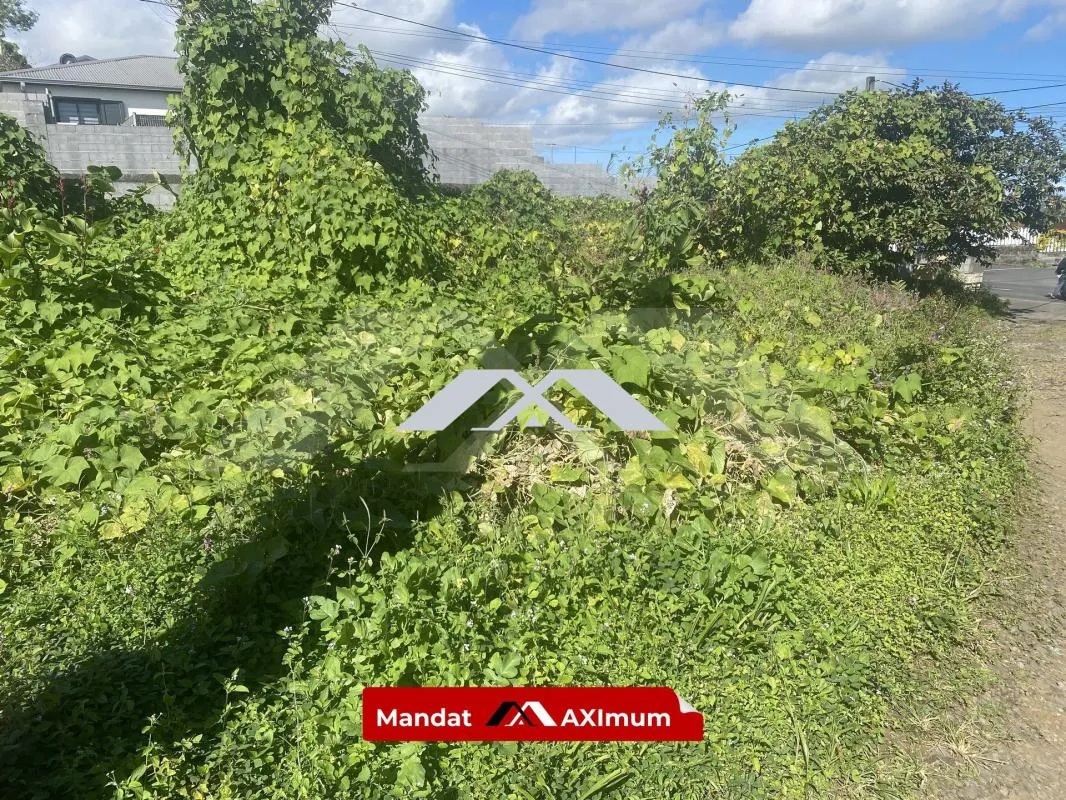 Terrain plat 373 m² Tampon