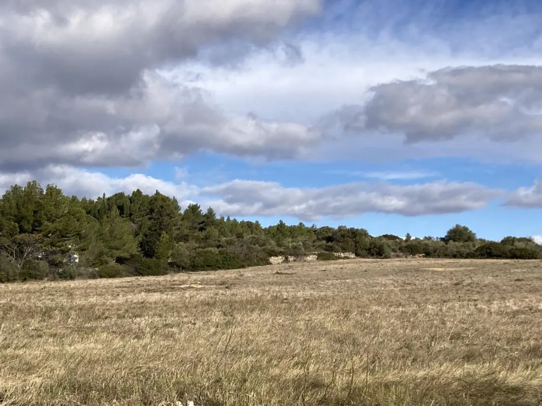 Terrain