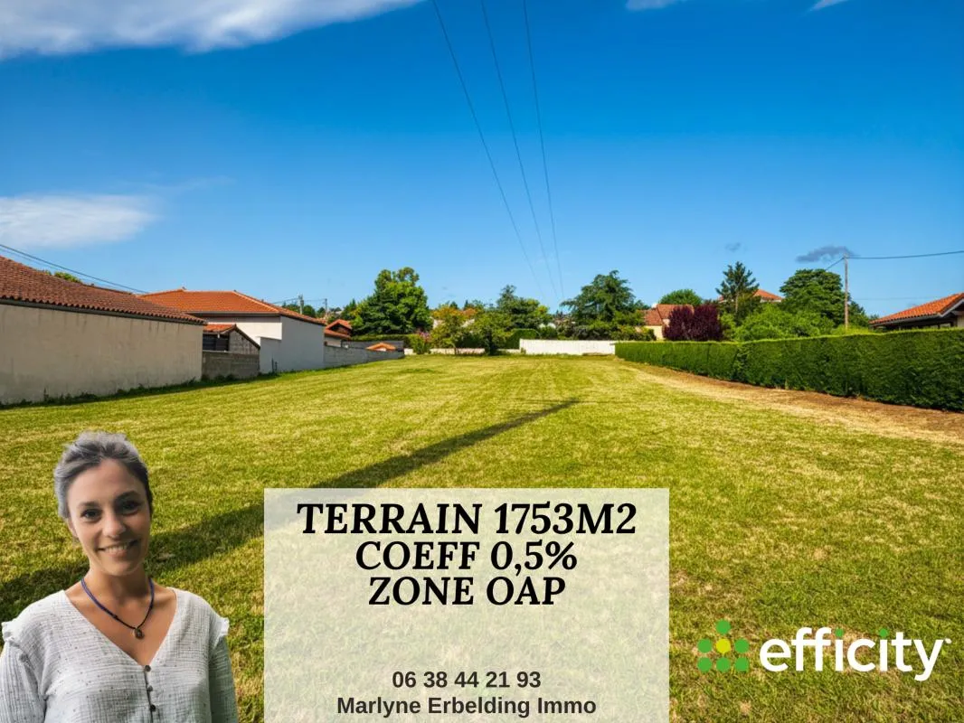 Terrain