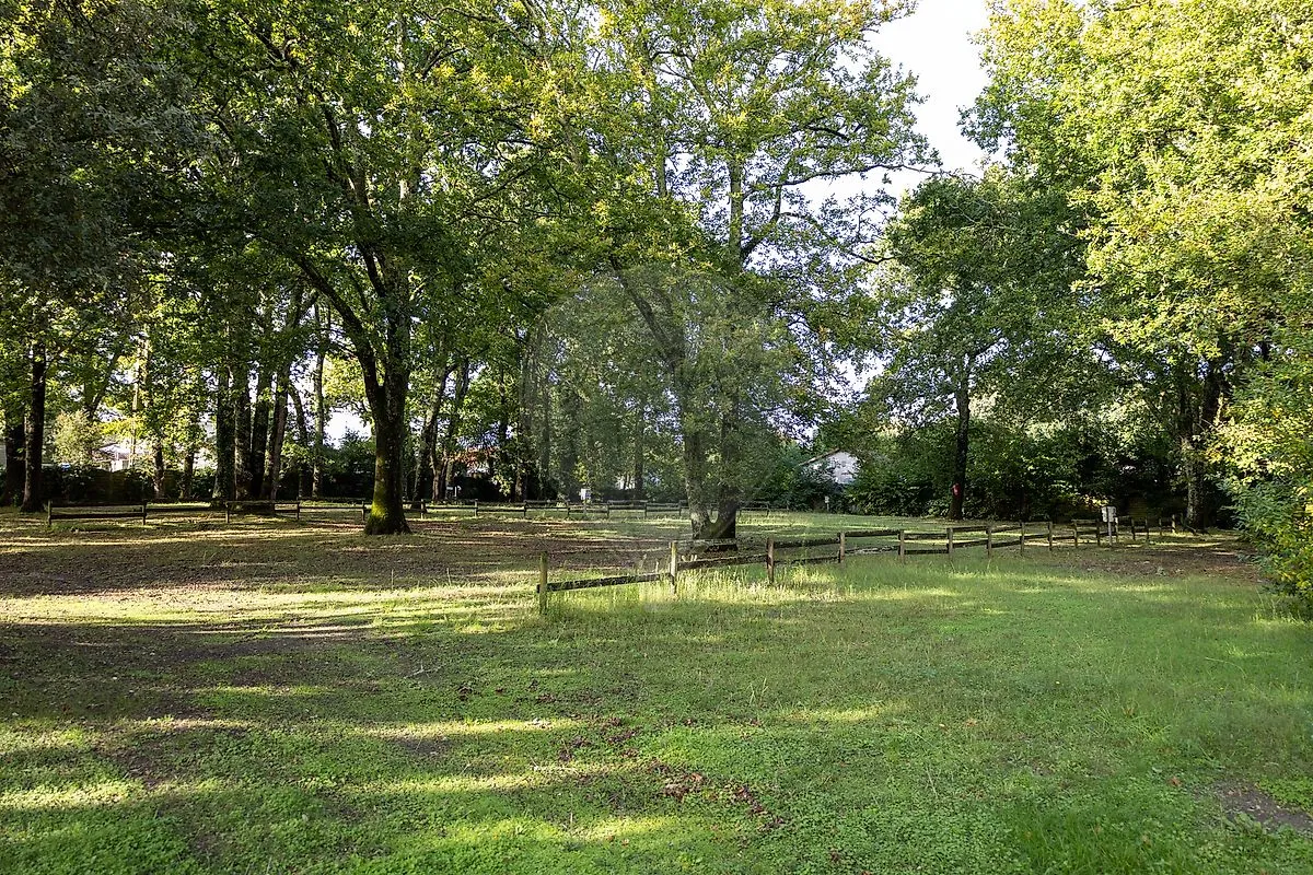 Image du carrousel 1