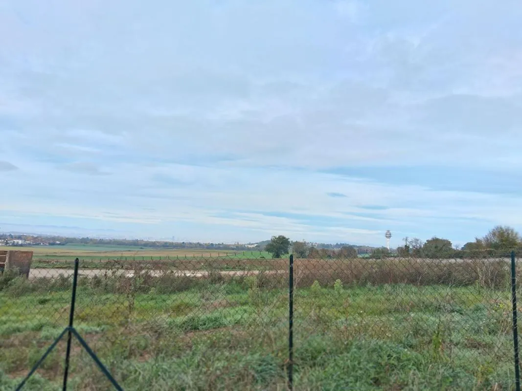 Terrain