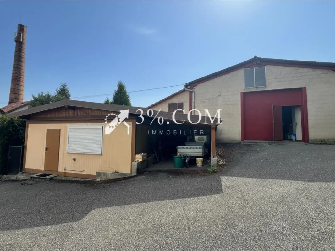 Ensemble immobilier sur 62 ares au centre de BOUXWILLER
