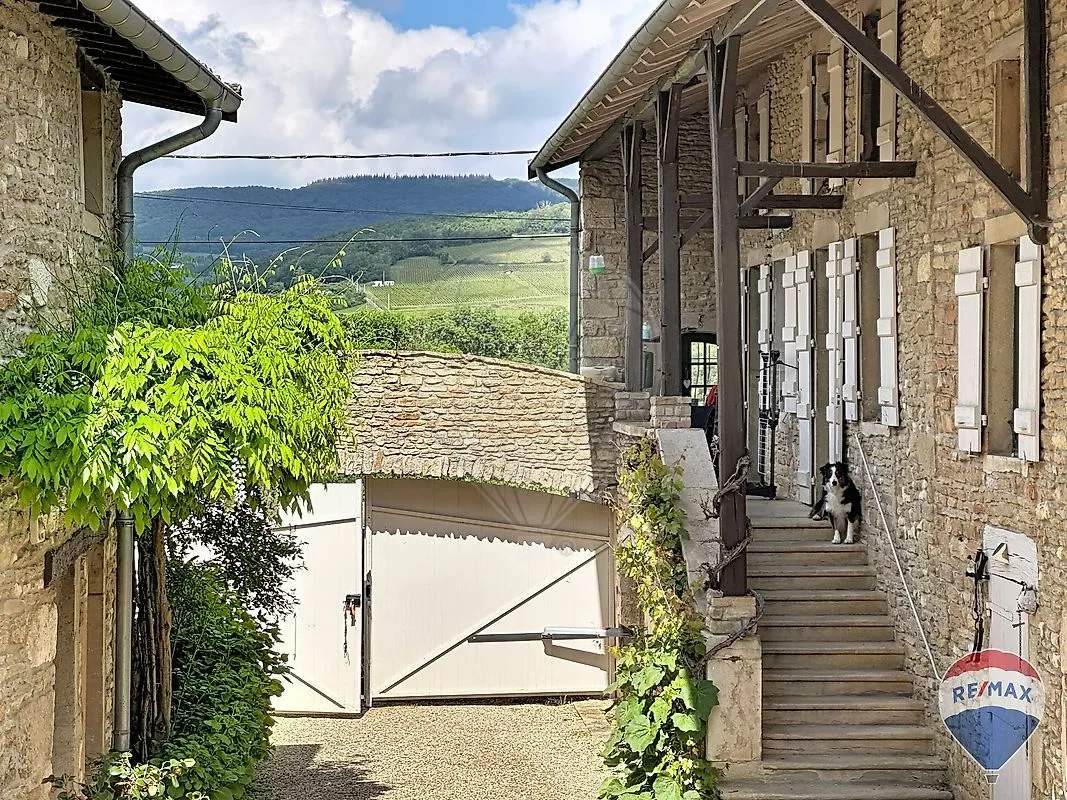 Image du carrousel 1