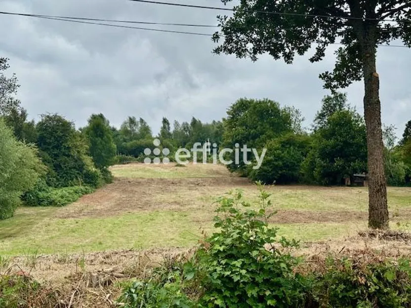 Terrain
