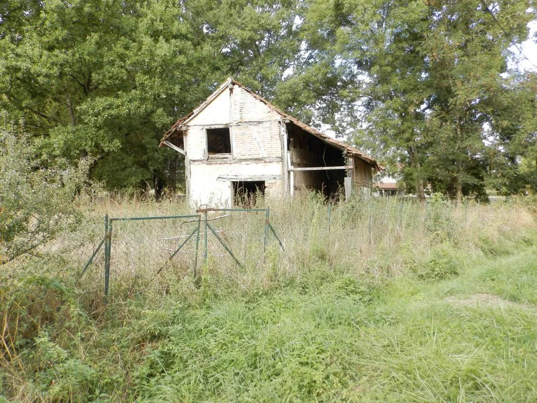 Image du carrousel 1