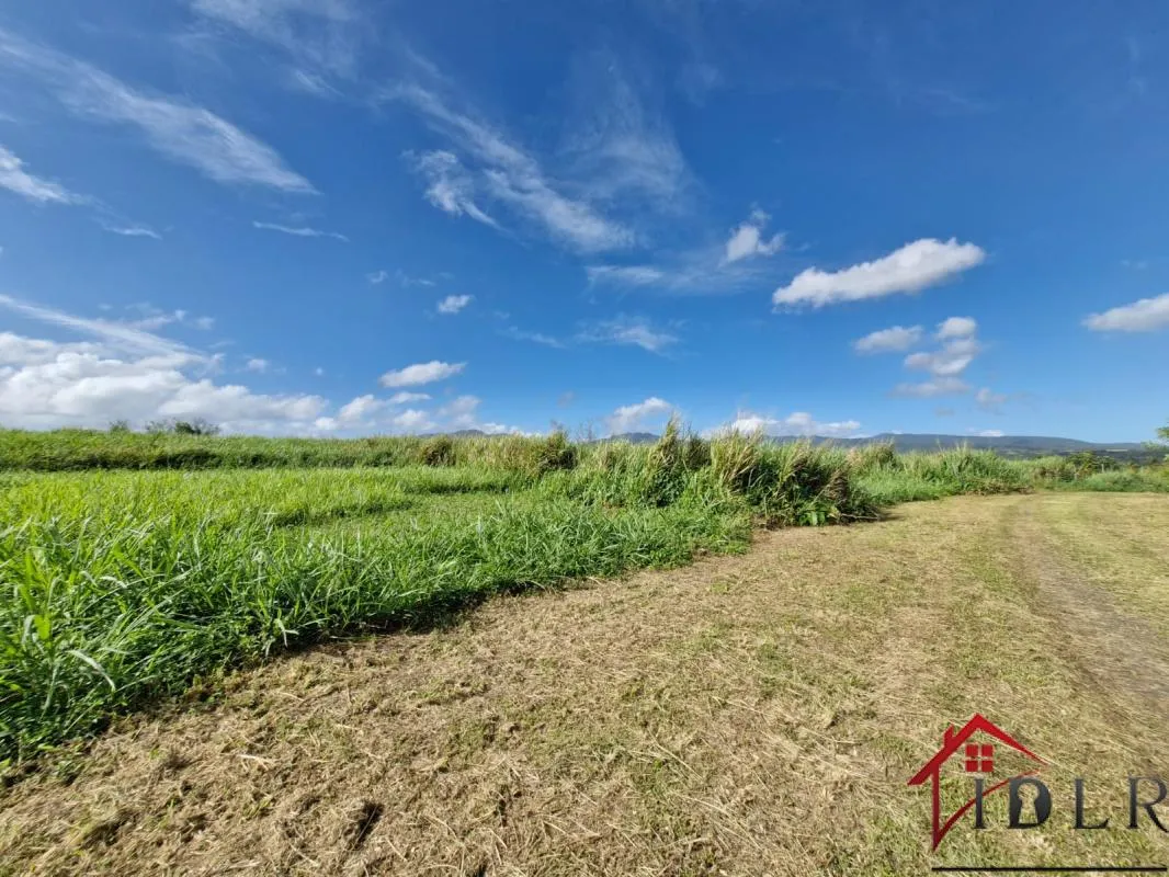 Terrain à batir - Section Caiiloux au Lamentin 590m2