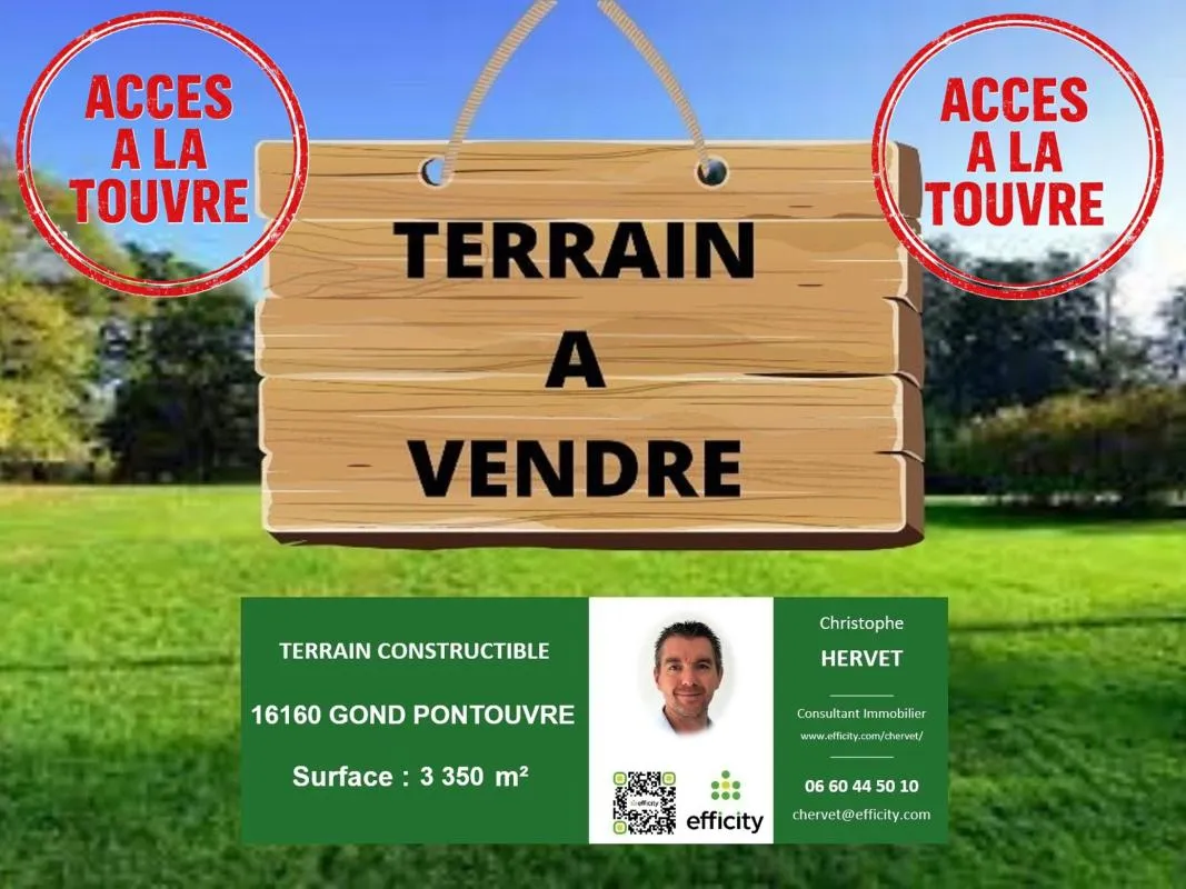 Terrain