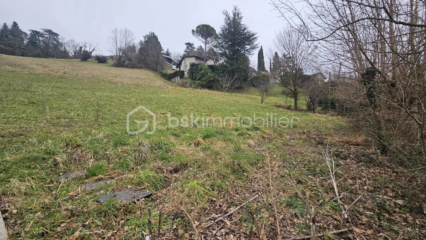 Image du carrousel 1