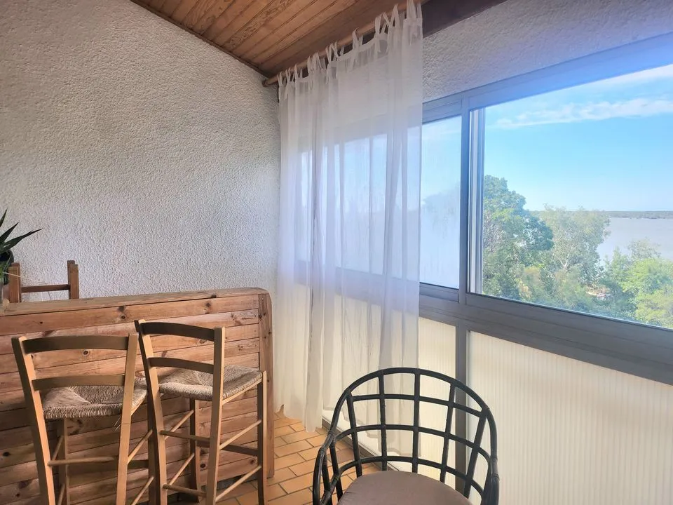 Splendide DUPLEX vue Rhône