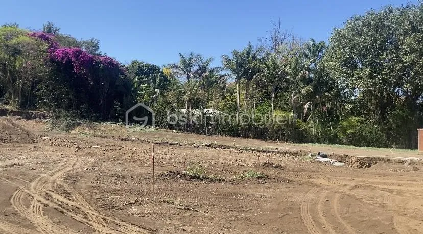 Terrain Viabilisé de 260 m² - Lotissement à La Rivière Saint-Louis