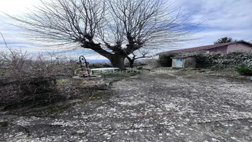 Image du carrousel 1