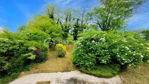 Image du carrousel 1