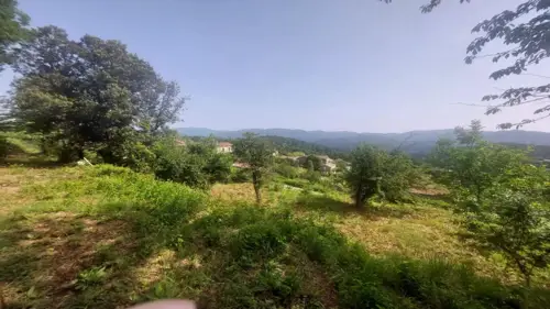 Image du carrousel 1