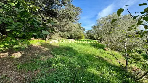 Image du carrousel 1