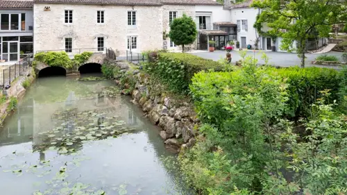 Image du carrousel 1