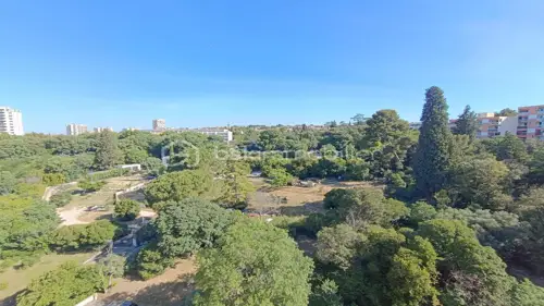Image du carrousel 1