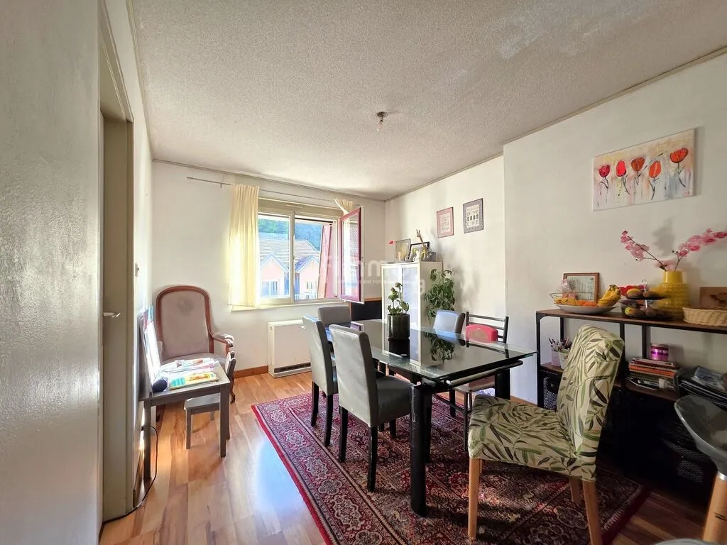 Duplex 5 pièces 101m² balcon + garage 68800 Thann Centre