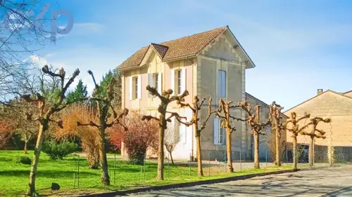 Image du carrousel 1