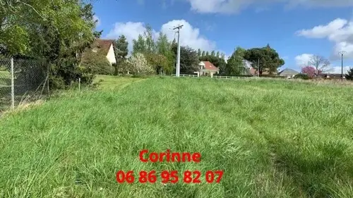 Image du carrousel 1