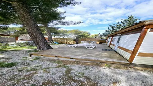 Image du carrousel 1