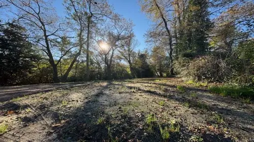 Image du carrousel 1