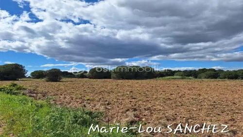 Image du carrousel 1