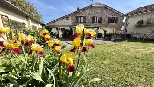 Image du carrousel 1