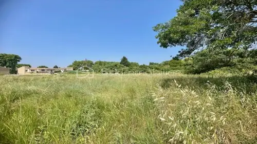 Image du carrousel 1