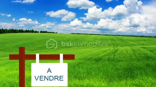 Image du carrousel 1