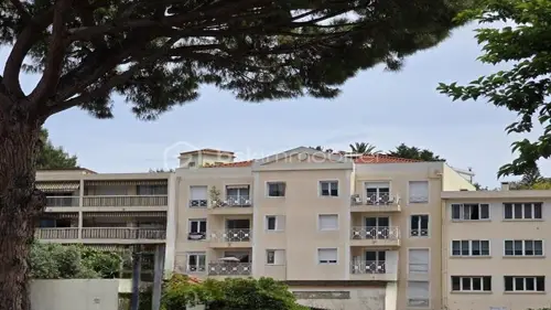 Image du carrousel 1