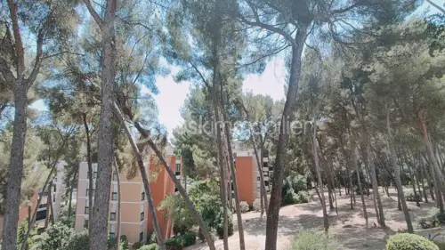 Image du carrousel 1