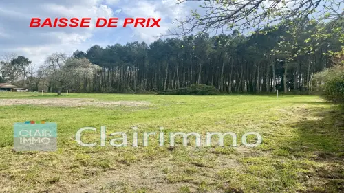 Image du carrousel 1